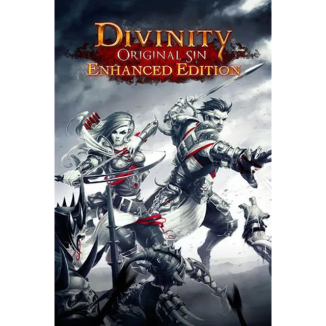 Divinity Original Sin Enhanced Collector's Edition ГИФТ