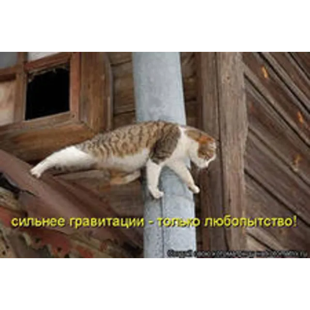 Диплом Управление доходностью предприятия