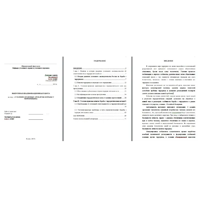 Уголовно-правовые проблемы борьбы с терроризмом. Диплом