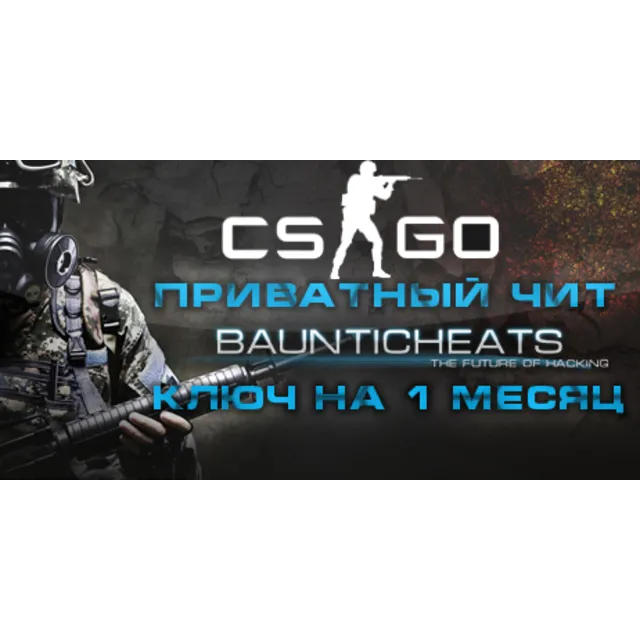 STEELHOOK для Counter-Strike: Global Offensive/1 месяц