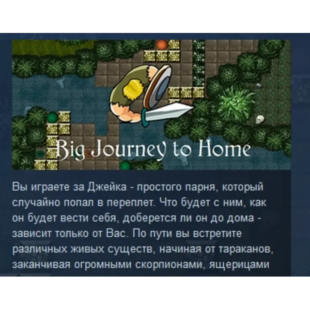 Big Journey to Home STEAM KEY REGION GLOBAL+РОССИЯ ЛИЦЕНЗИЯ