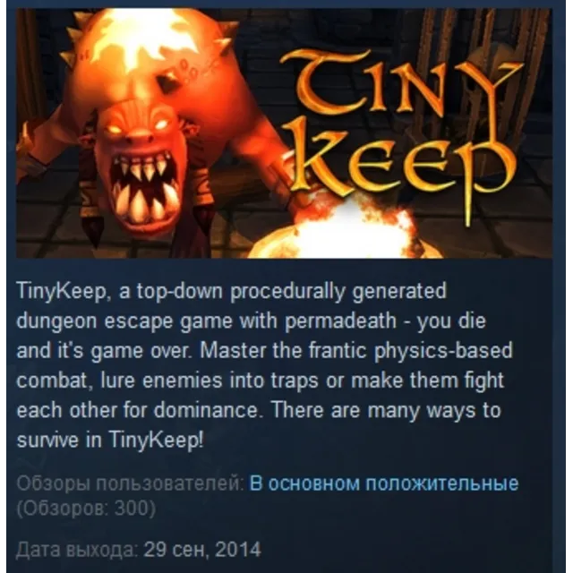 TinyKeep STEAM KEY REGION FREE GLOBAL