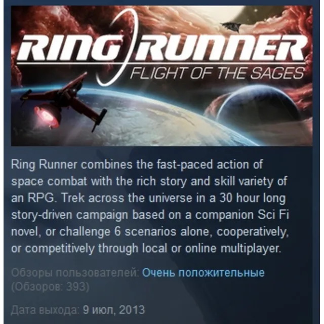 Ring Runner: Flight of the Sages 💎 STEAM KEY GLOBAL