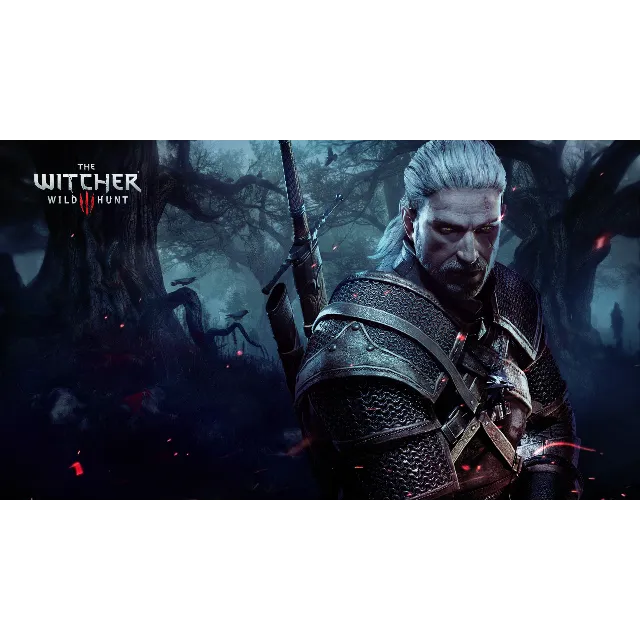 The witcher 3: wild hunt [Steam]