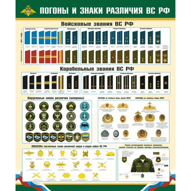 Плакат Погоны и знаки различия военнослужащих РФ.