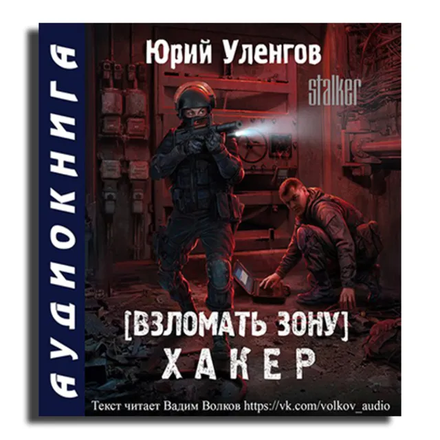 Аудиокнига Взломать Зону. Хакер
