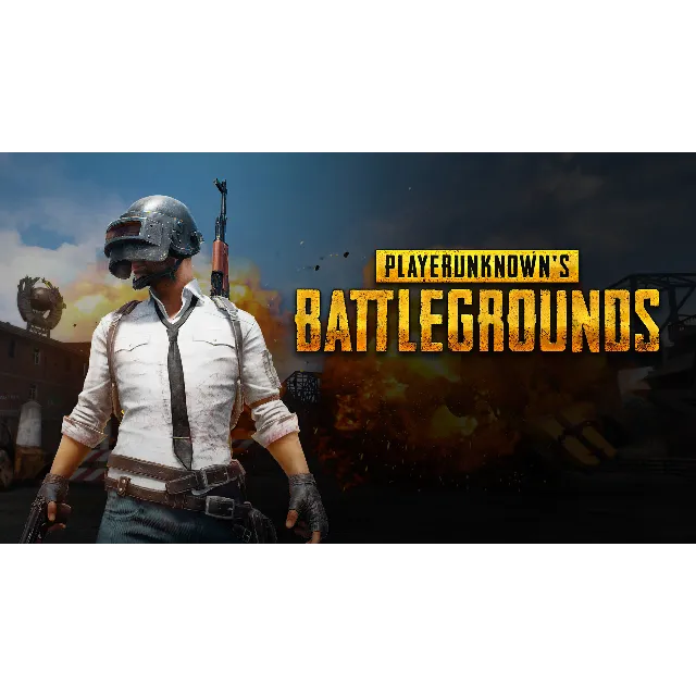 PlayerUnknown's Battlegrounds Steam + Почта