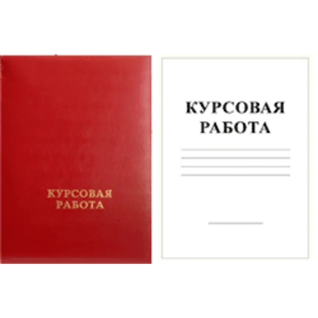 СУЩНОСТЬ, принципы и содержание БУХГАЛТЕРСКОГО УЧЕТА