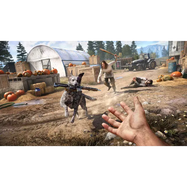 Far Cry 5 [Пожизненная гарантия] + Подарок