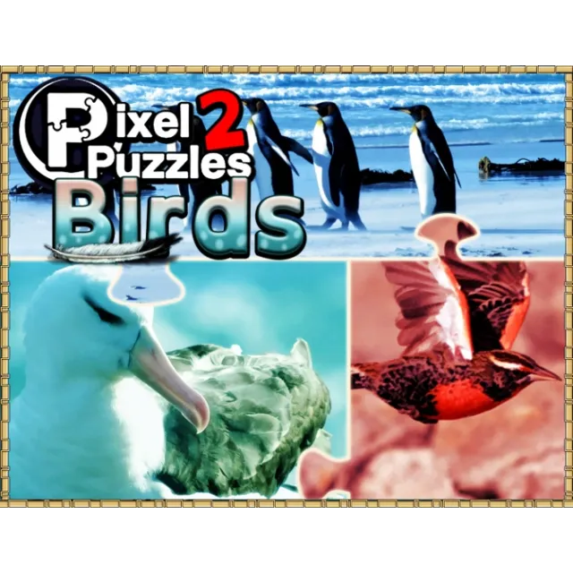 Pixel Puzzles 2  Birds (steam key) -- RU