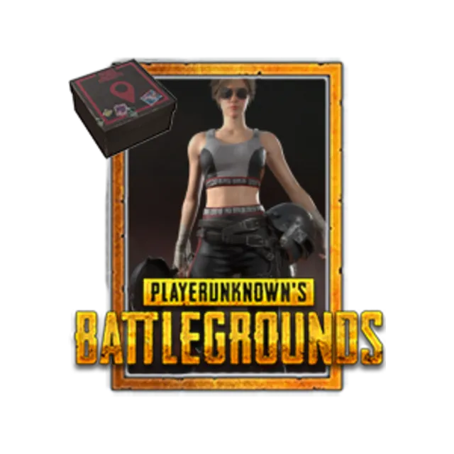 PUBG: PGI Title + STEAM