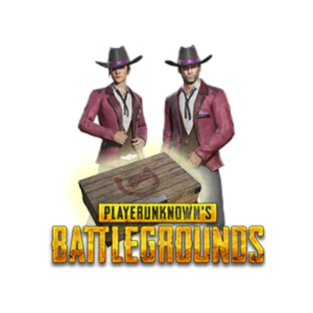PUBG: Pilot/GUNSLINGER Crate (Region free)