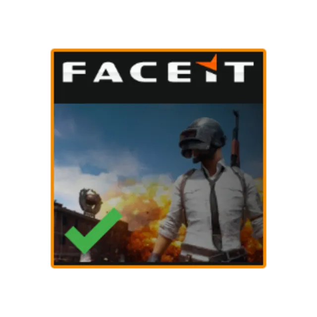 PUBG: FACEIT [Код активации]