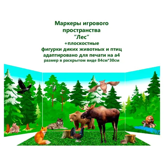 Маркеры игрового пространства "Природные зоны"