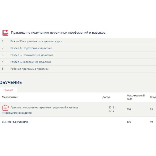 Практика по получению первичных умений.Отчет Синергия