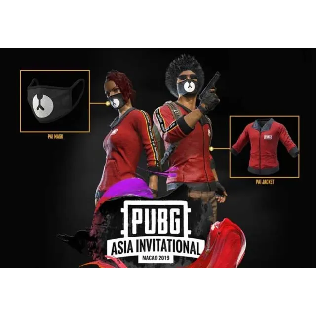 PUBG: PAI 2019 Skin