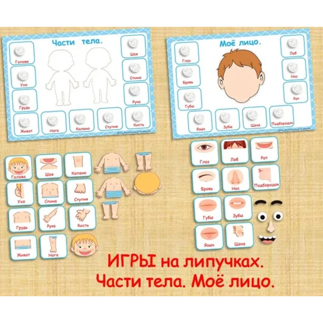 ЧАСТИ ТЕЛА /электронная версия
