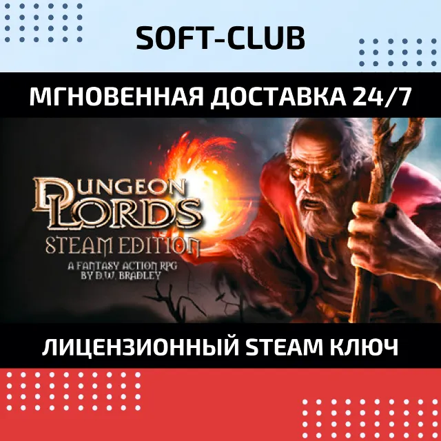 Dungeon Lords Steam Edition / Steam Key / RU+CIS