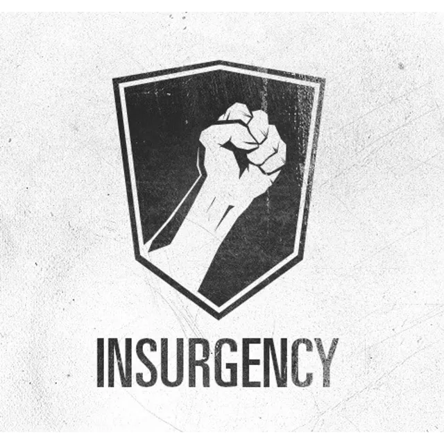 Insurgency (Steam Key Region Free)