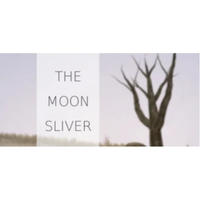 The Moon Sliver STEAM KEY REGION FREE GLOBAL ROW + 🎁