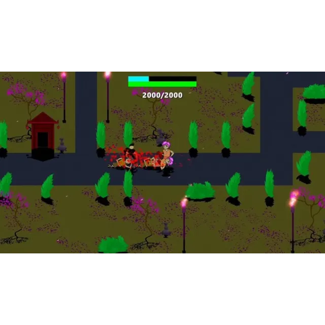 Anime Fight in the Arena of Death STEAM KEY REGION FREE