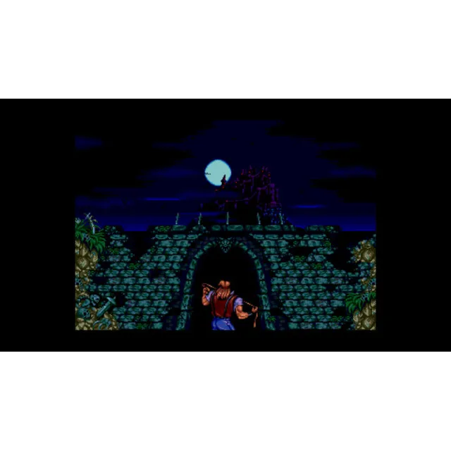 Castlevania Classics Anniversary Collection STEAM KEY