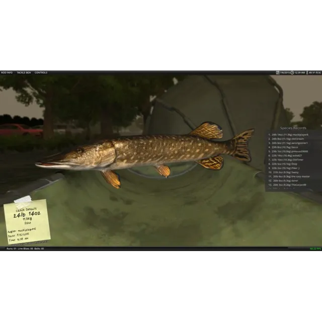Carp Fishing Simulator STEAM KEY REGION FREE GLOBAL