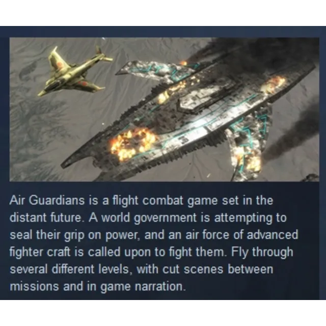 Air Guardians STEAM KEY REGION FREE GLOBAL