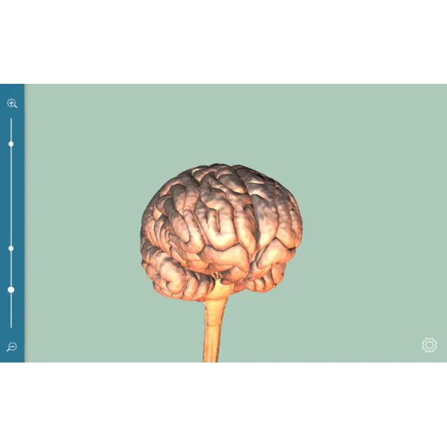 C O S M COSM STEAM KEY REGION FREE GLOBAL