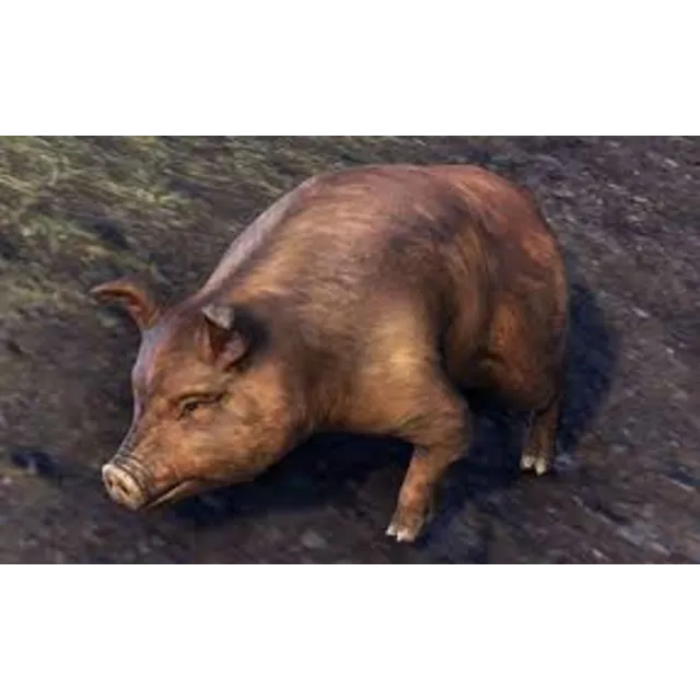 Bristlegut Piglet (pet) + 15 days ESO Plus + 750 Crown