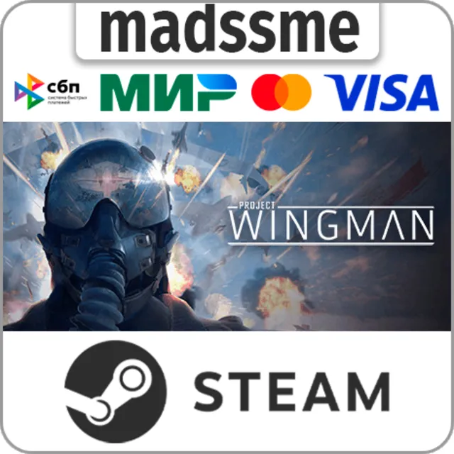 Project Wingman * RU/KZ/СНГ/TR/AR * STEAM 🚀 АВТО