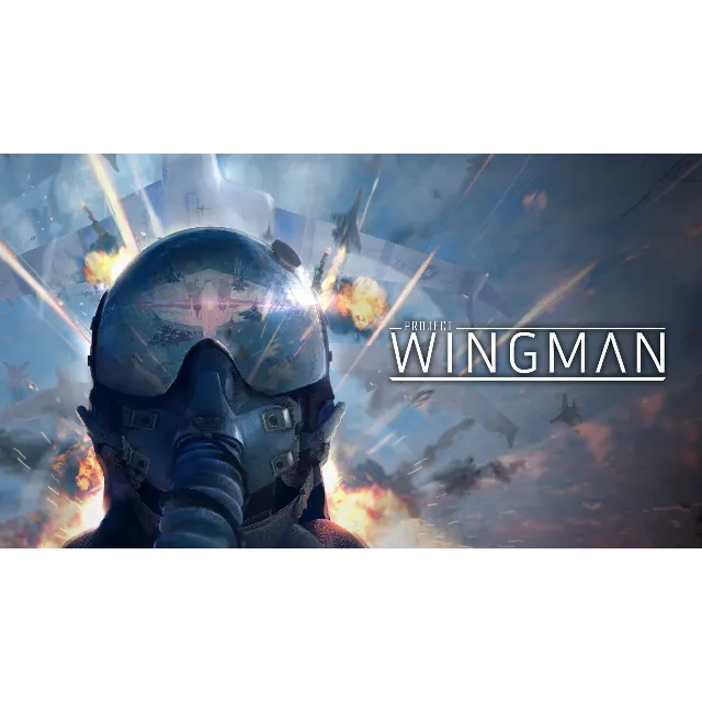 Project Wingman (Steam Gift РОССИЯ УКРАИНА КАЗАХСТАН)
