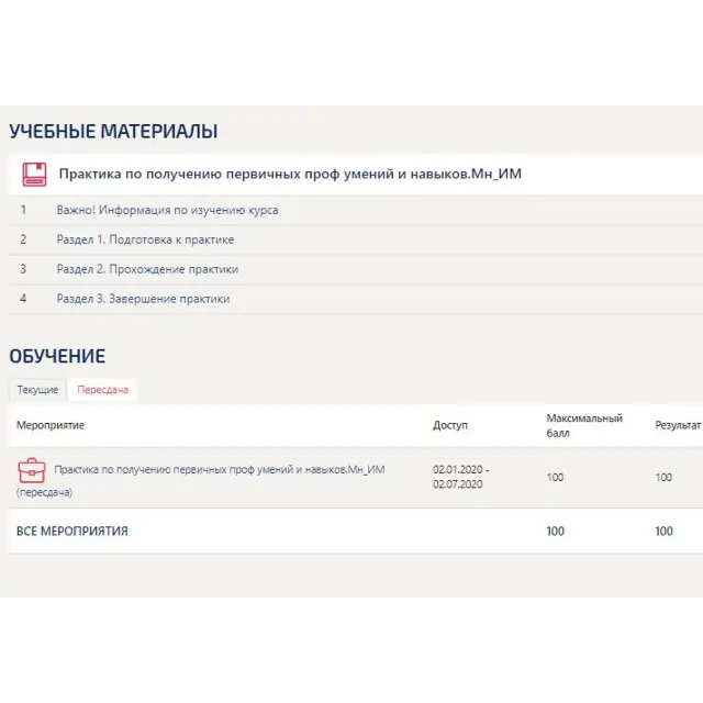 Практика Интернет-маркетинг (Синергия Мн_ИМ)