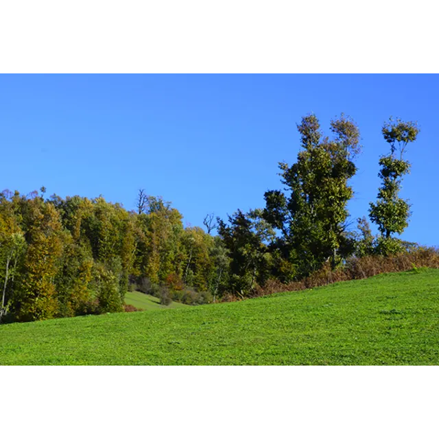 Nature Photography