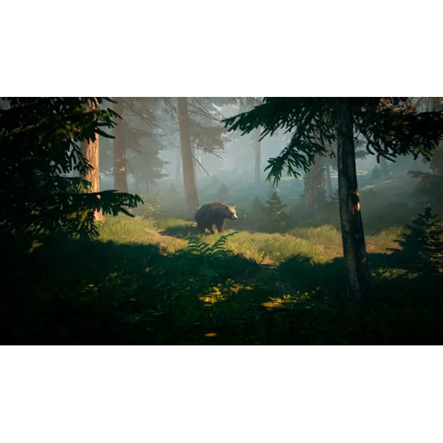 BIGFOOT  | Оффлайн активация | Steam | Region Free