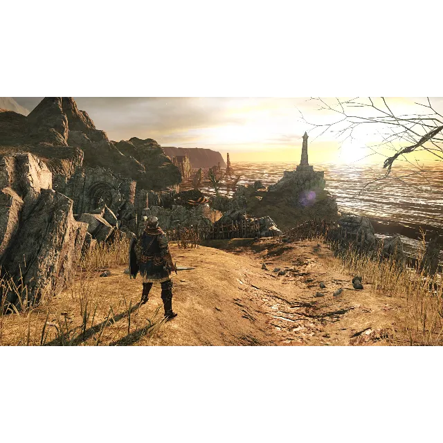 DARK SOULS II: Scholar of the First Sin [STEAM]