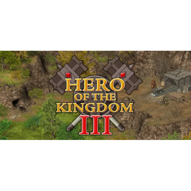 Hero of the Kingdom III (Герой Королевства 3) Steam Key
