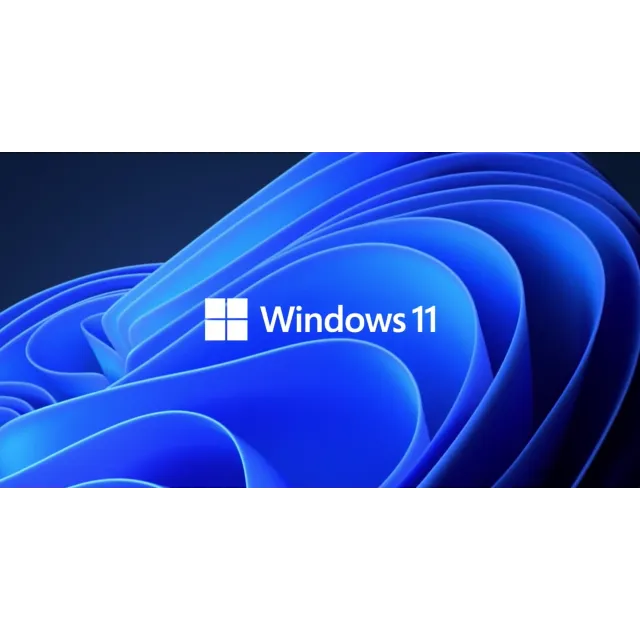 🔥Windows 11 Professional 🔥