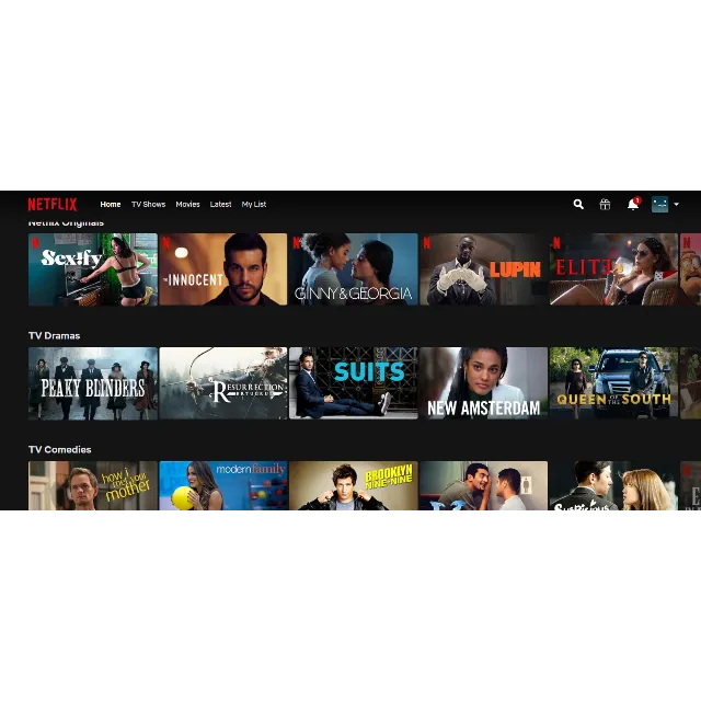 NETFLIX Global Premium 2022🔥⭐️