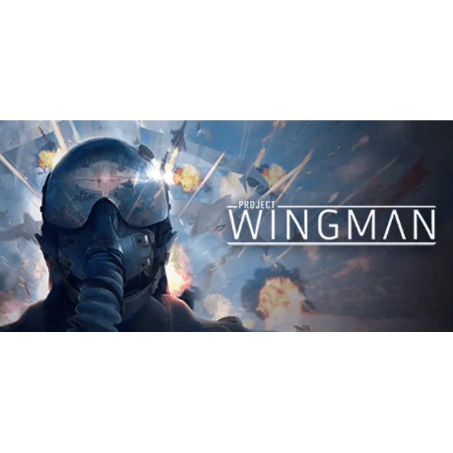 ✅ Project Wingman (Steam Ключ / РФ + Весь Мир)💳0%