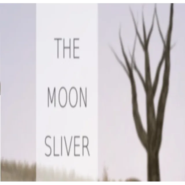 The Moon Sliver (Steam key / Region Free)