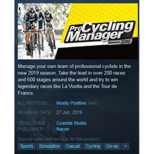 Pro Cycling Manager 2019 (STEAM KEY/RU