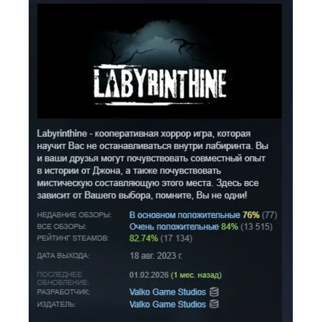 Labyrinthine АВТОДОСТАВКА STEAM GLOBAL МГНОВЕННО ЛИЦЕНЗИЯ