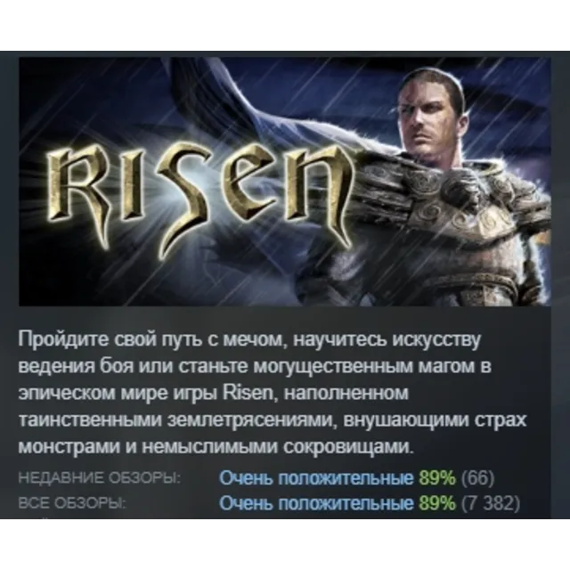 Risen АВТОДОСТАВКА STEAM GLOBAL МГНОВЕННО ЛИЦЕНЗИЯ