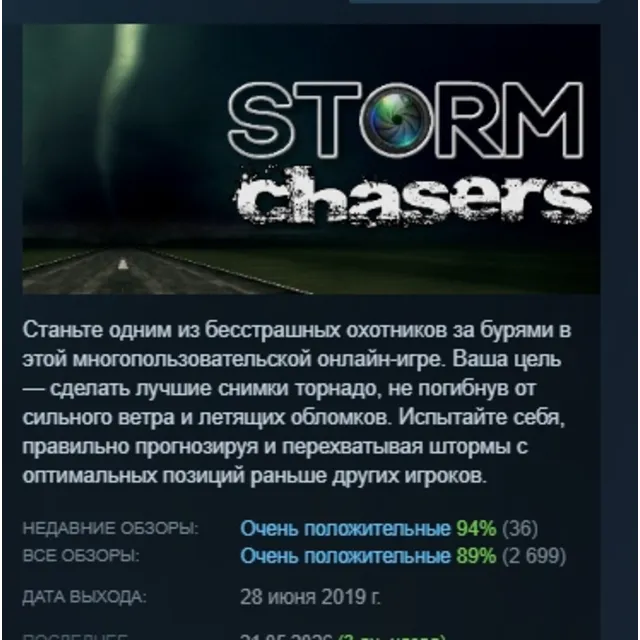 Storm Chasers АВТОДОСТАВКА STEAM GLOBAL МГНОВЕННО ЛИЦЕНЗИЯ