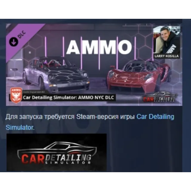 Car Detailing Simulator - AMMO NYC DLC STEAM РОССИЯ