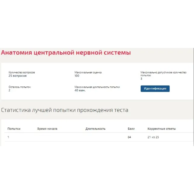 Анатомия центральной нервной системы ответы Синергия