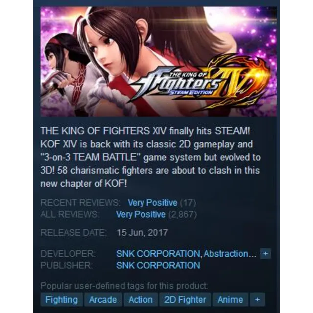 THE KING OF FIGHTERS XIV DELUXE (Steam Key GLOBAL)