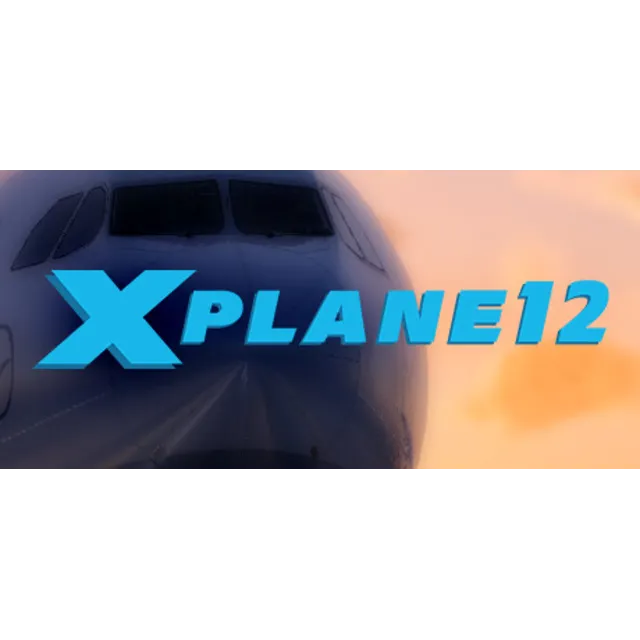 X-Plane 12 STEAM Россия