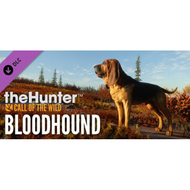theHunter Call of the Wild - Bloodhound (DLC) STEAM КЛЮЧ